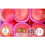 ふるさと納税 【2026年発送★先行予約】ご家庭用の桃2〜3玉 111-022-26y 山梨県笛吹市