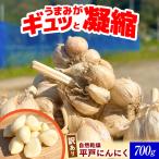 訳あり 植田ファームの自然乾燥平戸にんにく700g