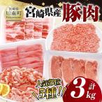 豚肉 5種 3kg 豚肉セット