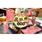 飛騨牛 A5 大満足 飛騨牛三昧 6か月 定期便