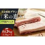 ブランド豚 奥豊後豚 米の恵み バラ肉ブロック 5kg