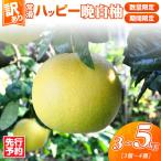 常滑ハッピー晩白柚 3~5kg 3個~4個
