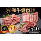 熟成 しまね和牛 焼肉セット ロース 約180g