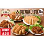揚げ物詰め合わせ定期便 全3回 惣菜 総菜