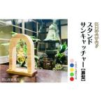 にいみのひのき スタンドサンキャッチャー