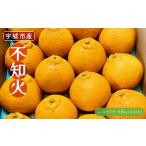 令和8年熊本地震復興支援 不知火 約5kg