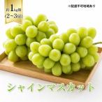 ぶどう クイーンニーナ 1kg箱 2~3房
