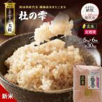令和8年産 玄米 大粒 あきたこまち 杜の雫