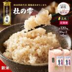新米 令和8年産 あきたこまち 20kg
