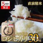 令和7年産 白米30kg