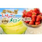 ふるさと納税 メロン・イチゴ定期便 全2回 果物 旬 めろん いちご 紅ほっぺ 季節の果物 人気 愛知県 田原市 定期便 フルーツ 愛知県田原市