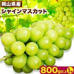 シャインマスカット 800g以上