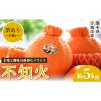 令和8年熊本地震復興支援 不知火 訳あり 約5kg