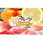 定期便 紀州和歌山産旬のフルーツセット
