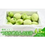 メロン つるかめろんの玉子 摘果メロン 4.5kg