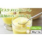 ふるさと納税 メロンピューレ バニラアイスクリーム 5個セット【バニラアイス ピューレ アイスセット ピューレ JALファーストクラス機内食採用 .. 高知県香南市