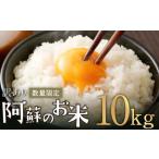 ふるさと納税 阿蘇のお米 10kg (5kg×2袋) 【14営業日発送】 精米 お米 米 おすすめ 人気 ランキング 熊本県高森町