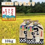 コシヒカリ 令和7年産 精米率 白米 5kg×2袋