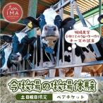 今牧場の牧場体験 ペアチケット 牧場 体験
