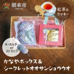 お菓子 かなやボックス&シークレットオオサンショウウオ
