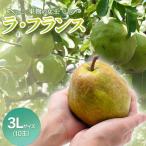 ラ フランス 3Lサイズ 10玉