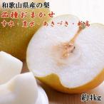産の梨約4kg 品種おまかせ