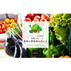季節の野菜詰め合わせ ~有機野菜セットB~ 15種類~18種類 季節 野菜 野菜セット