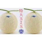 ふるさと納税 クラウンメロン(白等級)特大玉 2玉入 果物類 メロン青肉 静岡県袋井市