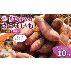 無選別+土付きのさつまいも 紅はるか 10kg