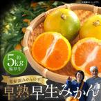 L8x1 果樹園みかんの木の早熟早生みかん 5kg
