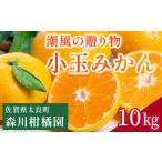 ふるさと納税 NB-27 潮風の贈り物 みかん（小玉）10kg　みかん ミカン 蜜柑 たらみかん 太良みかん 温州みかん 紅みかん 完熟みかん 甘熟 柑橘 .. 佐賀県太良町