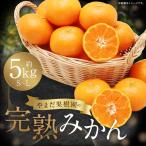 やまだ果樹園の完熟みかん 5kg