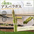 朝採れアスパラガス2kg 朝採れ即発送