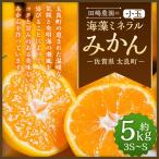 海藻ミネラルみかん 5kg