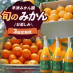 Q-40 早津みかん園 旬のみかんのお楽しみ3回定期便