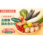 肥前の国のお野菜詰め合わせセット 8~10品目
