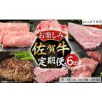 ふるさと納税 T-3 佐賀牛 お楽しみ便 絶品と評判の佐賀牛ハンバーグ付き！6回コース 定期便 佐賀牛定期便  国産牛定期便 肉 牛肉定期便 ブランド.. 佐賀県太良町