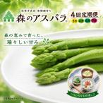 採れたて直送 森のアスパラ 定期便 4回コース