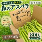 味はそのまま訳あり 森のアスパラ 800g