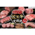 Z2x1 佐賀牛 毎月お届け便 50万コース