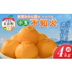 ふるさと納税 新宮みかん園の不知火（S〜M）4kg 【2026年4月上旬〜5月上旬まで順次発送予定】 みかん ミカン 蜜柑 たらみかん 太良みかん 不知火.. 佐賀県太良町