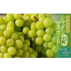 ふるさと納税 【令和8年産先行予約】 鶴岡市産 シャインマスカット(やや小粒) 約2kg (4〜7房)　佐藤農園  山形県鶴岡市