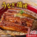 ふるさと納税 うなぎ蒲焼 1人前 ｜ うなぎ 長野県岡谷市