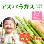 アスパラガス 1kg