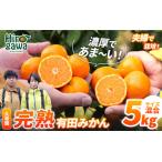 完熟 有田 みかん サイズ混合 5kg