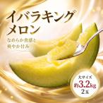 イバラキング 青肉メロン 2玉入