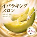 イバラキング 青肉メロン 1玉入