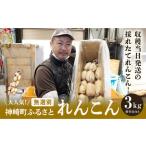 fu.... налог очень популярный! бог мыс блок .... renkon нет выбор другой (3kg)(*4~7 месяц прием минут. 8 месяц после последовательный отправка )[013-a007] Chiba префектура бог мыс блок 