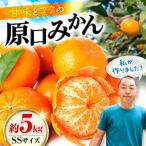 原口みかん 約5kg