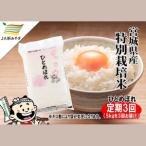ふるさと納税 定期便 �